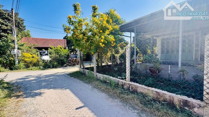 Bán gấp căn nhà vườn 1440mv tại thị xã trảng bàng tp tây ninh - 4