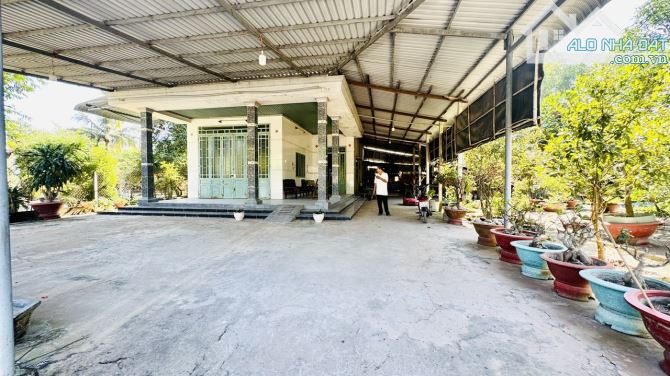 Bán gấp căn nhà vườn 1440mv tại thị xã trảng bàng tp tây ninh - 9