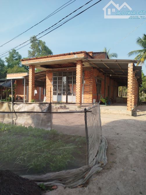 Bán nhà đất Xã Tân Phong, Tân Biên Tây Ninh dt 12x66m nhà kiên cố giá 380tr