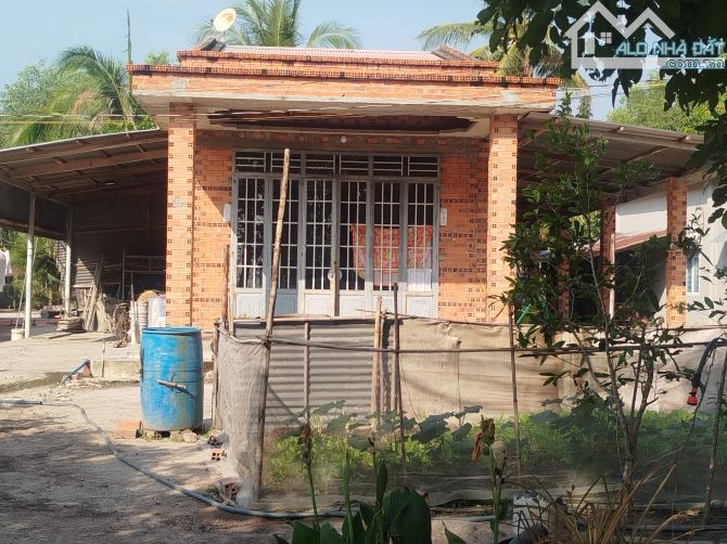 Bán nhà đất Xã Tân Phong, Tân Biên Tây Ninh dt 12x66m nhà kiên cố giá 380tr - 1