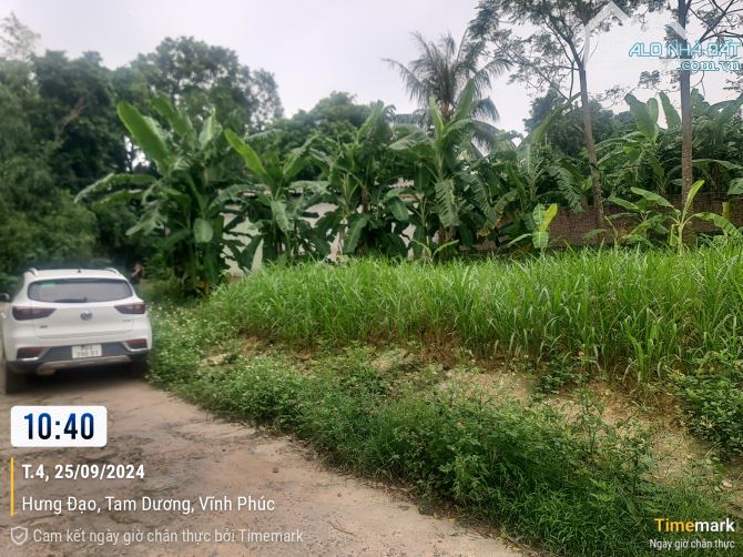 chỉ 500 triệu lô đất 125m2 ở Đồng Tĩnh, Tam Dương, Vĩnh Phúc. - 3