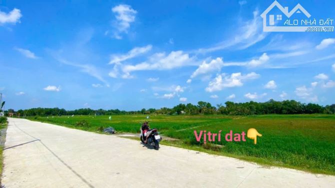 3000m2 đất vườn  + lúa đường bêtông 6m tân phước tây tân trụ Long An 570tt/1000m2 ngộp rẽ