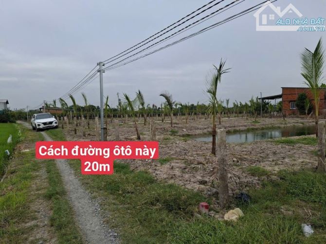 Bán 1000m2 lúa 225 triệu sát đường ôtô Thanh Phú Long châu thành Long An rẽ ngộp