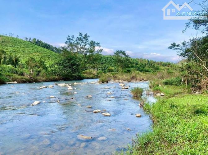 ⚡☀️🌞BÁN GẤP!!! BÁN LÔ ĐẤT TRỒNG CÂY MT NHỰA HOÀ PHÚ!! LIÊN HỆ ZALO NHÉ