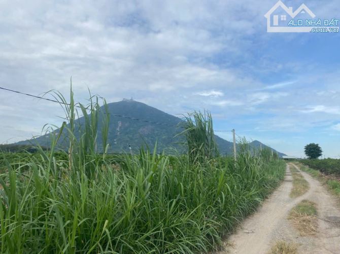 Cần bán 2,5ha  đất Suối Đá , Dương Minh Châu, Tây Ninh