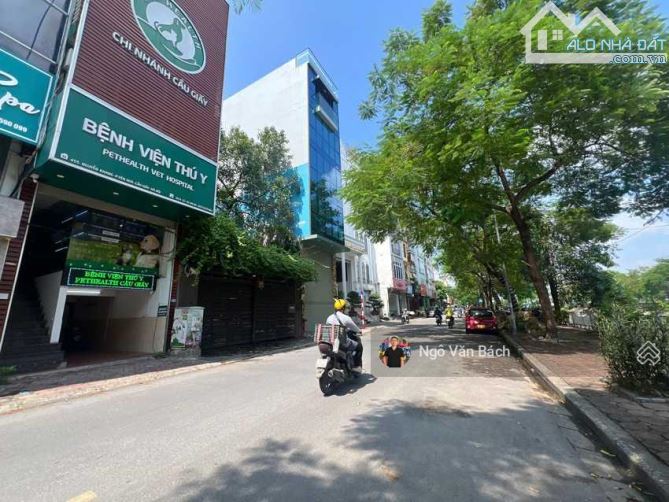 Bán gấp tòa Building mặt phố Nguyễn Khang, dòng tiền 1.8 tỷ/năm, thông sàn, vỉa hè rộng, - 2