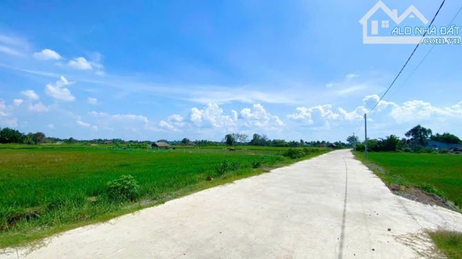 3000m2 đất vườn  + lúa đường bêtông 6m tân phước tây tân trụ Long An 570tt/1000m2 ngộp rẽ - 3