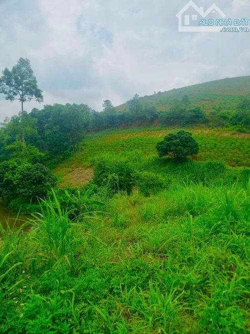 BÁN ĐẤT RỘNG TẠI THANH SƠN PHÚ THỌ SẴN NHÀ Ở LUÔN GIÁ CHỈ 100K/M2 CÁCH HÀ NỘI 90KM. - 3