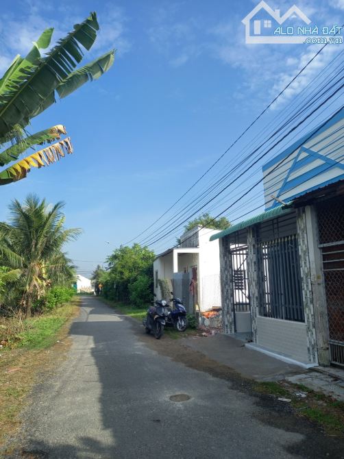 Đất mặt tiền đường N5 thông từ huyện 87 ra trần  thị thơm,,ra đường Sdh - 4