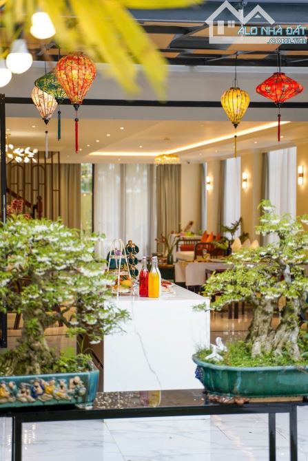 CẦN VỐN ĐẦU TƯ MONG MUỐN BÁN BIỆT THỰ CAO CẤP HỘI AN-NƠI TẬN HƯỞNG CUỘC SỐNG ĐẲNG CẤP16,5T