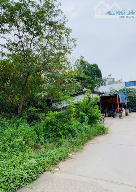 Thị Trấn Nhà Bè  2.930M2 ngang 35 x 120m xe tải tránh giá 17 tỷ xíu TL - 2