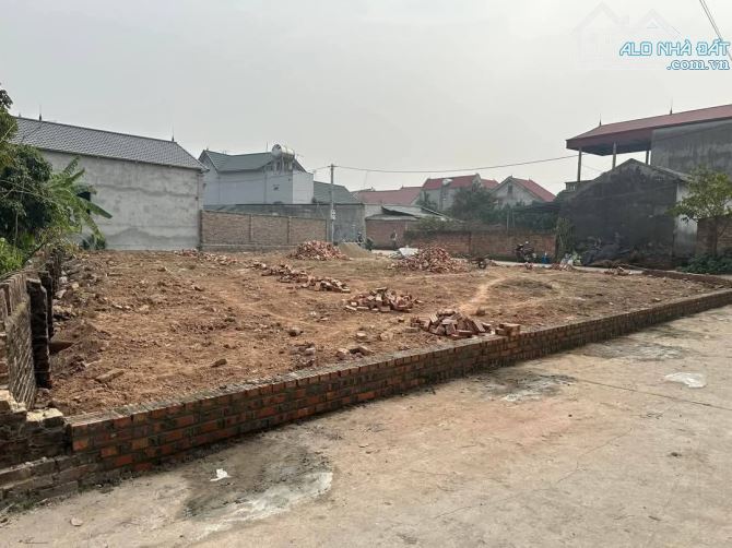 80m đất PHÙ LINH, SÓC SƠN giá hơn tỷ - 2