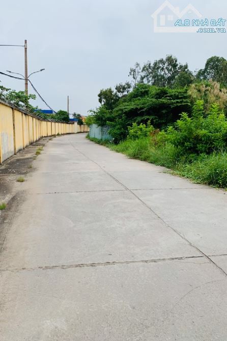 Thị Trấn Nhà Bè  2.930M2 ngang 35 x 120m xe tải tránh giá 17 tỷ xíu TL - 4