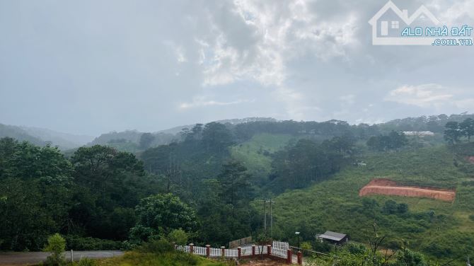 Bán đất 219m² tại Măng Lin, Phường 7, TP. Đà Lạt – Full thổ cư, view nghỉ dưỡng tuyệt đẹp - 5