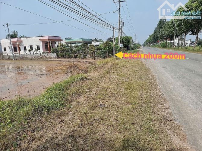 159m2 thổ cư sát nhựa Bình trinh đông_Tân trụ_Long An 235 triệu rẻ ngộp - 2