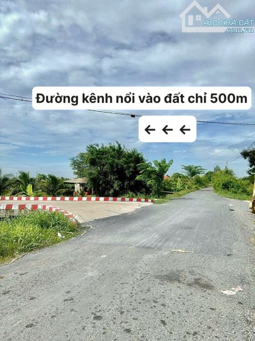 ✨ 10x21.5m (Full Thổ Cư). Đường Bê Tông rộng 5.5M, 2 Ô tô tránh nhau, đường thông - 919Tr