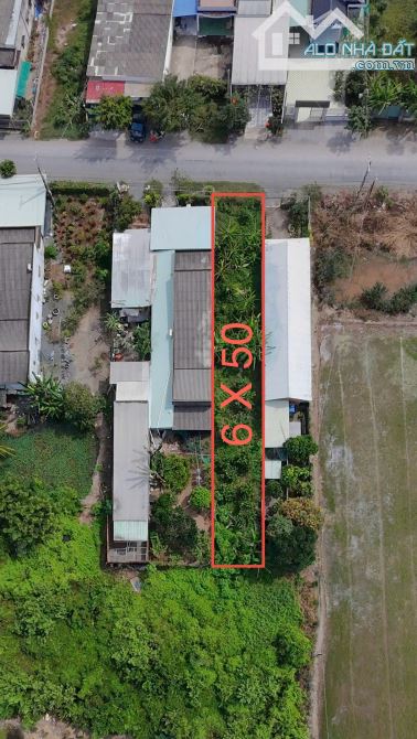 Cần Bán Lô Đất 300m2,6x50m Thành Phố Tân An,Xã Hướng Thọ Phú 1 tỷ 550tr,Sổ Hồng Có Sẵn - 1