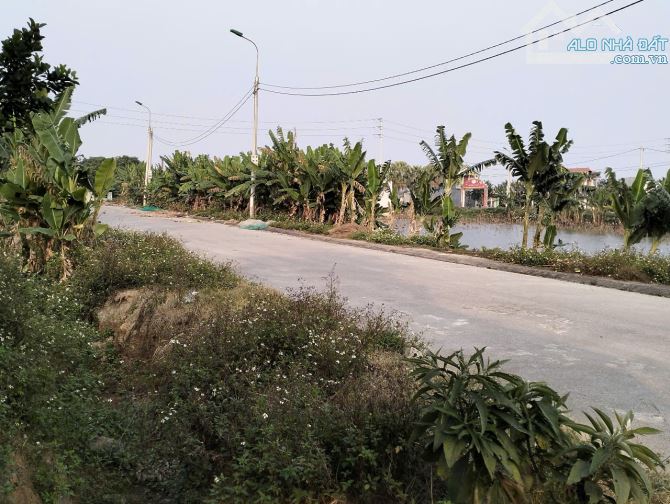 đất biển đi bộ ra biển 200m quảng hải mb 3367 2025 - 1