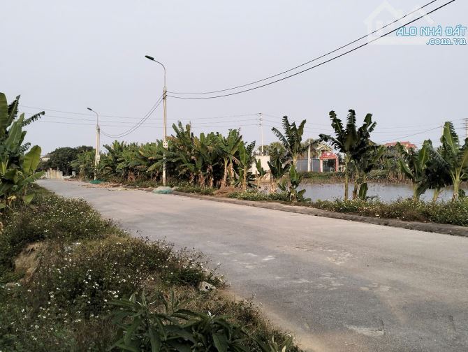 đất biển đi bộ ra biển 200m quảng hải mb 3367 2025 - 2