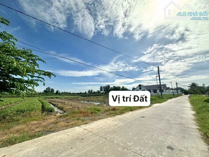 ✨ 10x21.5m (Full Thổ Cư). Đường Bê Tông rộng 5.5M, 2 Ô tô tránh nhau, đường thông - 919Tr - 2