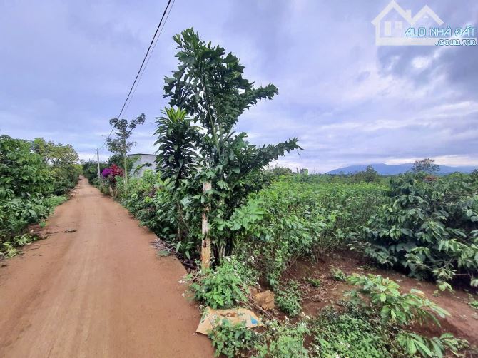 ✨ Chỉ 609Tr/ lô Đất Vườn có Thổ Cư: 8.7 x 76.8m (100m2 ONT) đường Bê Tông 6M, KDC đông đúc - 3