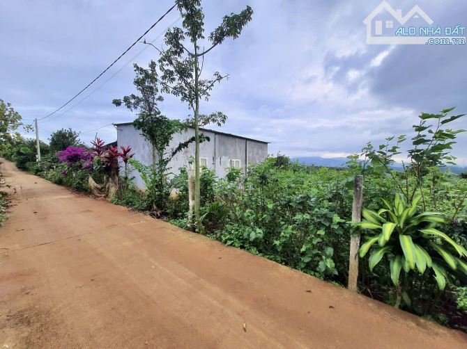 ✨ Chỉ 609Tr/ lô Đất Vườn có Thổ Cư: 8.7 x 76.8m (100m2 ONT) đường Bê Tông 6M, KDC đông đúc - 4