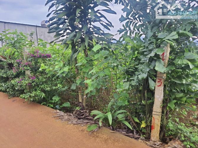 ✨ Chỉ 609Tr/ lô Đất Vườn có Thổ Cư: 8.7 x 76.8m (100m2 ONT) đường Bê Tông 6M, KDC đông đúc - 5
