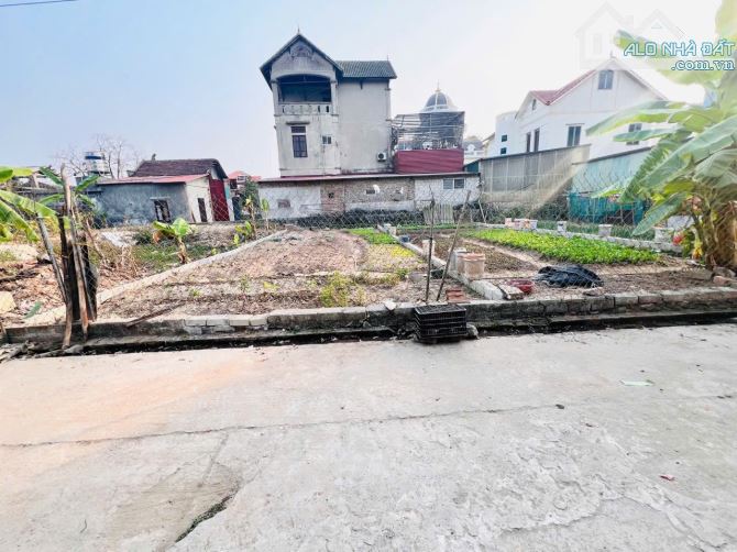 BÁN ĐẤT TÂN TIẾN VĂN GIANG  HƯNG YÊN 88M2 GIÁ 30TR/M2