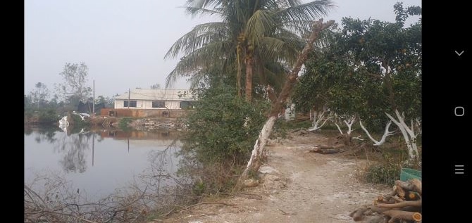 Cty cần bán 3,1 ha đất sx thức ăn chăn nuôi Bình Giang, Hải Dương, chỉ 42 tỷ