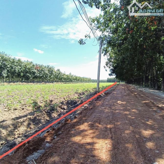 ✨ ĐẤT SÀO RẺ NHẤT TÂY NINH, Diện tích SIÊU ĐẸP: 30x35m (hơn 1.000m2 vuông vức) - 199Tr/ lô - 1