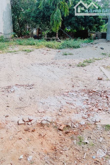 CẦN BÁN GẤP HOA HẬU ĐẠI MẠCH NGÕ THÔNG TỨ TUNG 3 Ô TÔ TRÁNH 60M - 1