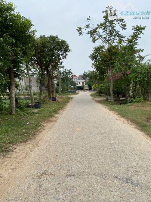 Bán đất mặt đường xã Tân Thành, Yên Thành, Nghệ An 217m mặt tiền 11m - 1