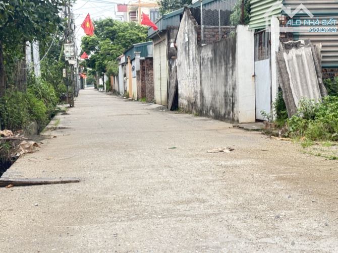 Đất Gần Bìa Làng Tuân Lề-Tiên Dương-Đông Anh-DT 91M²-MT 5M-Đường Thông Ô Tô Tránh - 1