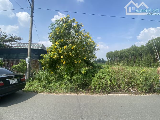 647m2 đất TT Phước Hải ngang 10m, ngay TTHC thị trấn chỉ 3tỷ2, ra biển 5p - 2
