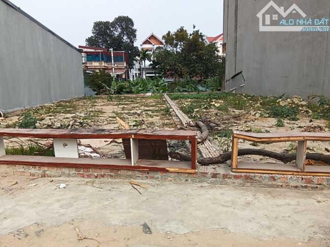 Đất Gần Bìa Làng Tuân Lề-Tiên Dương-Đông Anh-DT 91M²-MT 5M-Đường Thông Ô Tô Tránh - 2