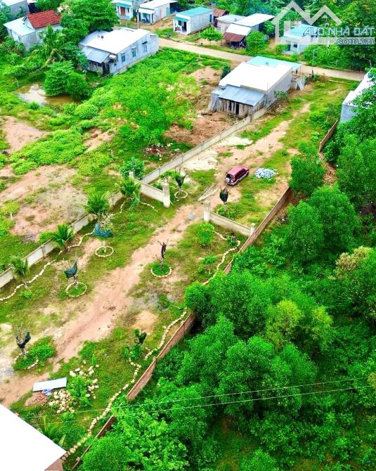 Bán đất vườn Khánh Đông giá rẻ sẵn thổ cư - đã lên mô hình farm cơ bản - 2