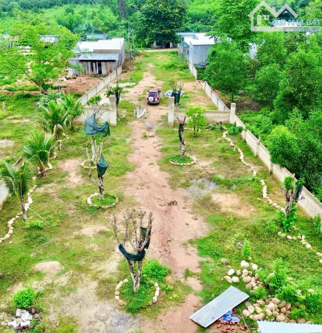 Bán đất vườn Khánh Đông giá rẻ sẵn thổ cư - đã lên mô hình farm cơ bản - 3