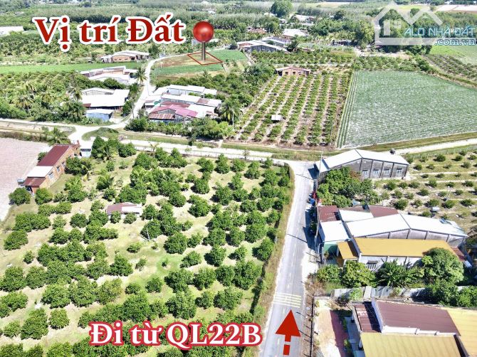 ✨ 15x45m (Full ONT), đường Lớn (QHLG: 20M). Gả nhanh Trước Tết GIÁ TỐT THẬT TỐT - 1.55 Tỷ - 4