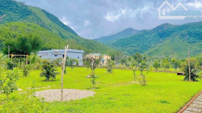 Cần bán gấp Homestay Nam Yên Hoà Bắc, 22000m2, có sẵn 5 lều, vườn cây ăn trái, … - 5