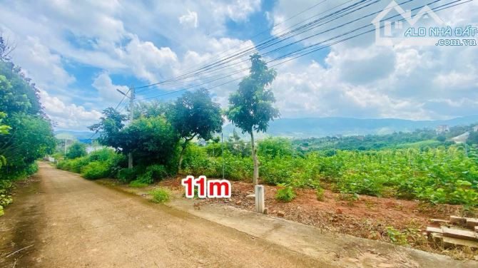 Đất xã Đông Thanh huyện Lâm Hà Lâm Đồng giá rẻ, nơi kiến tạo căn Second Home nghỉ dưỡng - 5