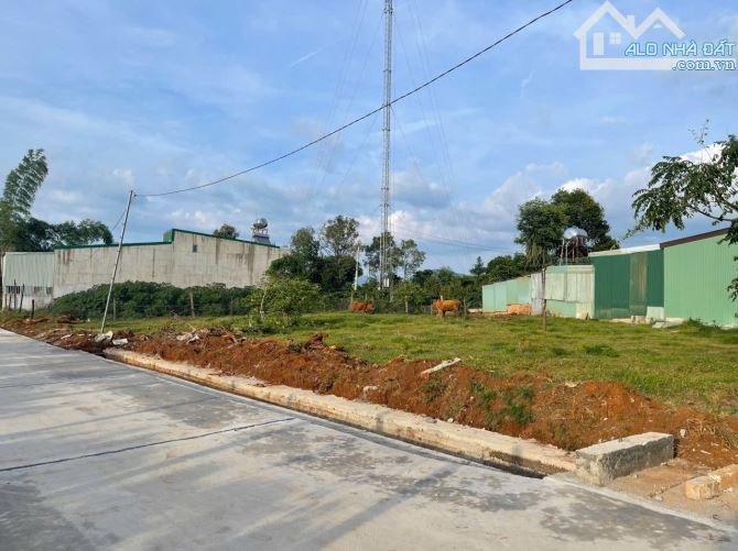 🌱 Đất Mặt tiền Hàn Thuyên cách lòng Biển Hồ chỉ 300m