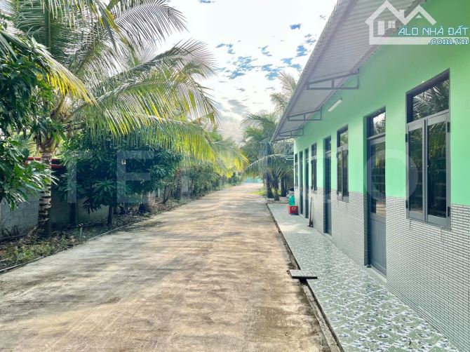 Kho xưởng bãi 4.500m² kho xây dựng 1.400m² có trạm điện 630 khu vực, lộ Container - 17