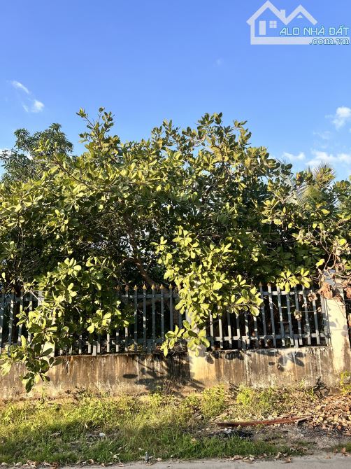 cần bán đất nền thổ cư, Tân Phúc,Hàm Tân,Bình Thuận, DT: 8x55m, hậu 20m, CN580m 3,5Tỷ - 3