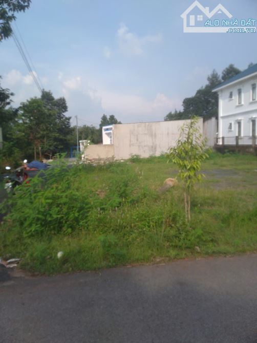 Bán đất mặt tiền Đồng Khởi, Tân Phong, Biên Hoà, Đồng Nai, 11 tỷ. - 2