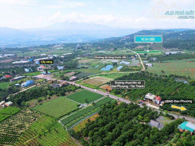 ✨ Chỉ 670TR/ hơn 1.000m2 (100m2 ONT), đường Bê Tông (QH: 20M), cách Nhựa Lớn Liên Xã 400m - 11