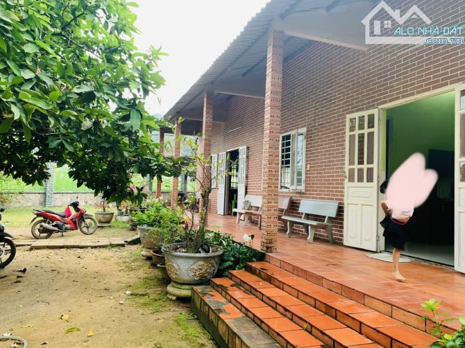 Đất Sào Nhà Vườn xã Châu Pha, Thành Phố Phú Mỹ, Diện tích: 3000m2 giá: 8 tỷ - 11