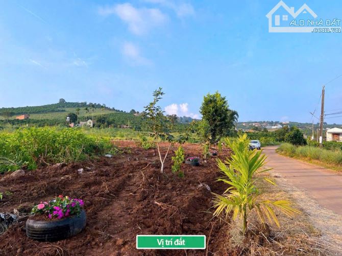 ✨ Chỉ 670TR/ hơn 1.000m2 (100m2 ONT), đường Bê Tông (QH: 20M), cách Nhựa Lớn Liên Xã 400m - 3
