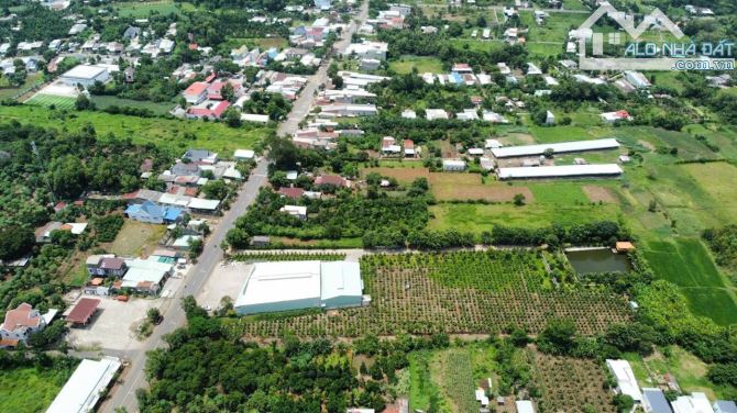 BĐS KHU CÔNG NGHIỆP, BÁN NHÀ XƯỠNG + ĐẤT QUỐC LỘ 56, SONADEZI NGHĨA THÀNH 16.0000m2 - 5