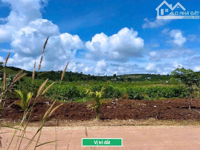 ✨ Chỉ 670TR/ hơn 1.000m2 (100m2 ONT), đường Bê Tông (QH: 20M), cách Nhựa Lớn Liên Xã 400m - 5