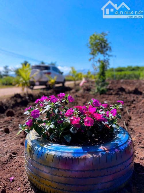 ✨ Chỉ 670TR/ hơn 1.000m2 (100m2 ONT), đường Bê Tông (QH: 20M), cách Nhựa Lớn Liên Xã 400m - 7